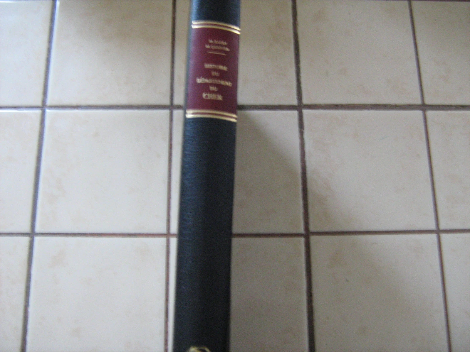geschiedenis van het departement Cher – photo 2